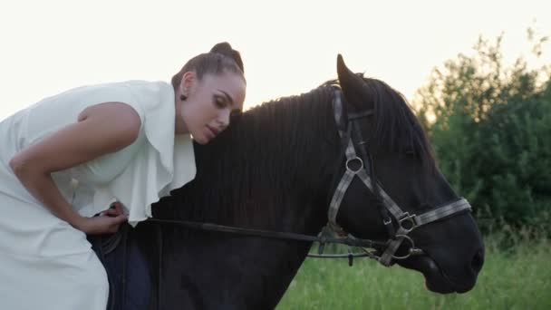 Professioneel model met paardenstaart poseert op bruine hengst — Stockvideo