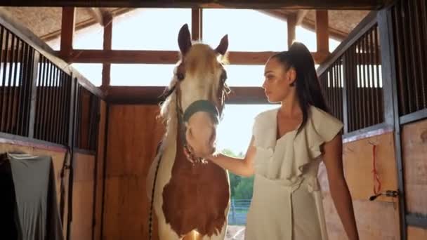 Brunette model in witte jurk wandelingen met paard langs stal — Stockvideo