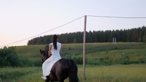 Horse rider brunette in long white dress rides stallion — ストック動画