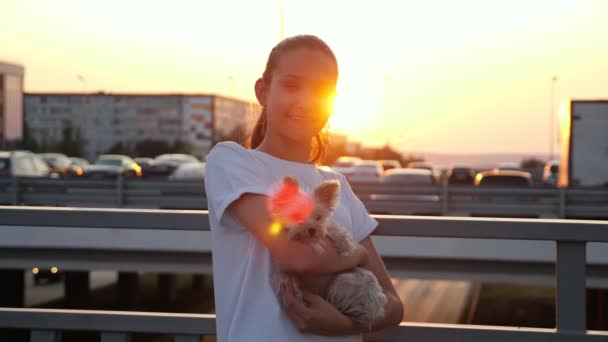 Teenage girl in t-shirt holds small puppy at back sunset — Stock Video