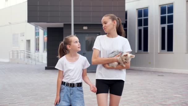 Schoolgirls walk along street and elder holds puppy in arms — Stock Video