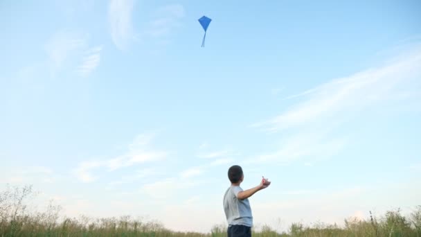 Unerkennbarer Junge, der einen blauen Drachen in den Himmel steigen lässt, glückliche Kindheit — Stockvideo
