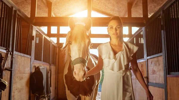 Morena modelo em vestido branco caminha com cavalo ao longo estável — Fotografia de Stock