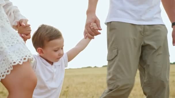 Mały chłopiec idzie trzymając się za ręce ojca na polu — Wideo stockowe
