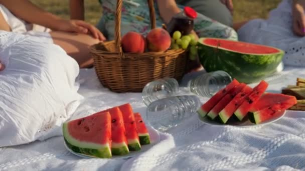 Família senta-se em cobertor com melancia e sanduíches — Vídeo de Stock
