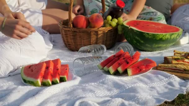 Kvinna tar del av vattenmelon på filt vid familjen picknick — Stockvideo