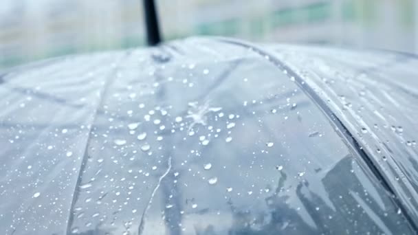 Close-up of a transparent umbrella in the rain — Stock Video