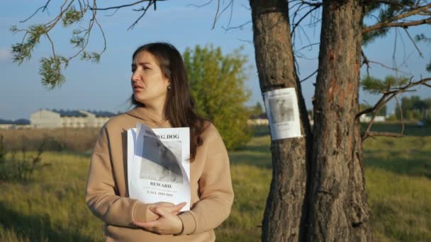 Mujer con volantes stack stands cerca de cartel informe de perro desaparecido con foto atascado en el tronco del árbol — Vídeo de stock