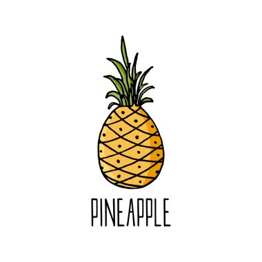Beyaz üzerine ananas vektör illüstrasyonu.