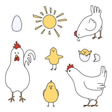 Tavuk, horoz ve yumurta. Vektör illüstrasyonu.