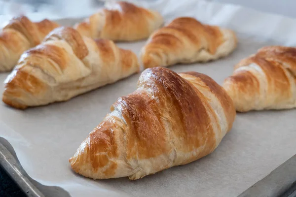 Croissant Forno Fresco Bordo Con Carta Forno Colazione Fatta Casa — Foto Stock