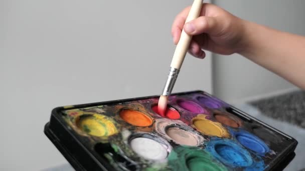 Dibujo Colorido Paleta Pintura Sobre Fondo Blanco — Vídeo de stock