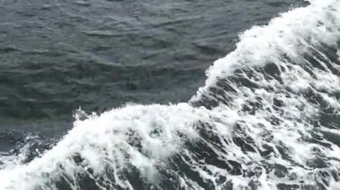 dalgalar deniz manzaralı doğa suyu