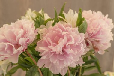 Yeşil çiçekli pembe çiçekler.