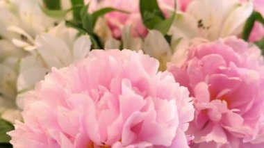 Pembe çiçekler açar. Doğa çiçekçilerini kapatır.