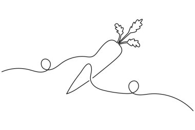 Beyaz yapraklı bir havuç çizimi. 