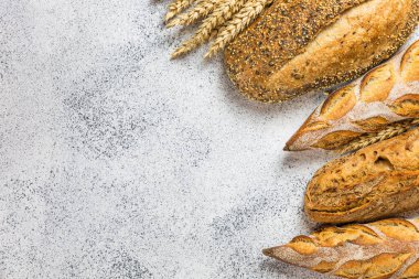 Hafif bir zemin üzerinde altın kırsal ekmek somunları. Düzen genişliği boş kopyalama (metin) alanı. Üst Manzara. Çeşitlilik