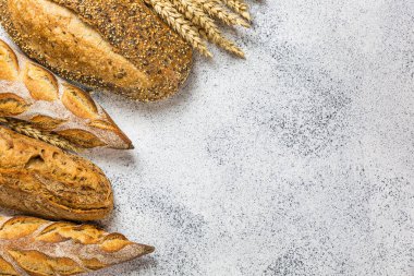 Hafif bir zemin üzerinde altın kırsal ekmek somunları. Düzen genişliği boş kopyalama (metin) alanı. Üst Manzara. Çeşitlilik