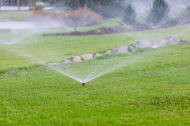 Su püskürtme. Otomatik çim sulama. Çiseleme