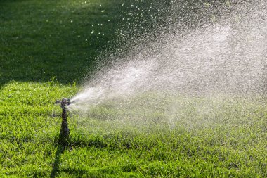Yeşil çimenlerin üzerine otomatik su fıskiyesi. Dönen kafa.