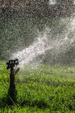 Yeşil çimenlerin üzerine otomatik su fıskiyesi. Dönen kafa.