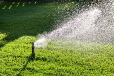 Yeşil çimenlerin üzerine otomatik su fıskiyesi. Dönen kafa.