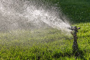 Yeşil çimenlerin üzerine otomatik su fıskiyesi. Dönen kafa.