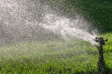 Yeşil çimenlerin üzerine otomatik su fıskiyesi. Dönen kafa.