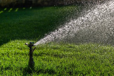 Yeşil çimenlerin üzerine otomatik su fıskiyesi. Dönen kafa.