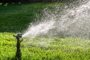 Yeşil çimenlerin üzerine otomatik su fıskiyesi. Dönen kafa.