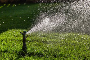 Yeşil çimenlerin üzerine otomatik su fıskiyesi. Dönen kafa.