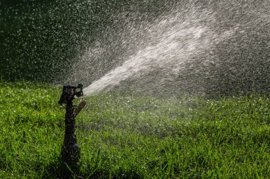 Yeşil çimenlerin üzerine otomatik su fıskiyesi. Dönen kafa.