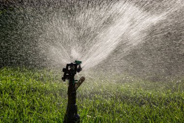 Yeşil çimenlerin üzerine otomatik su fıskiyesi. Dönen kafa.