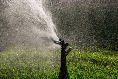 Yeşil çimenlerin üzerine otomatik su fıskiyesi. Dönen kafa.