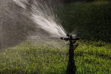 Yeşil çimenlerin üzerine otomatik su fıskiyesi. Dönen kafa.