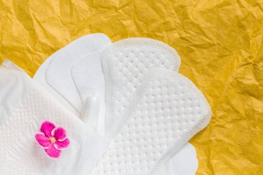 Kadın hijyeninin korunması için. Hijyenik tamponlar ve pedler. Biyo-pamuktan yapılmış organik contalar. Adet döngüsü 