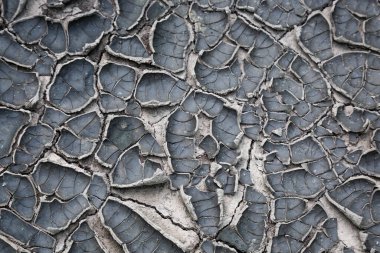 Çatlak toprak. Toprak. Çatlaklar. Kuraklık.