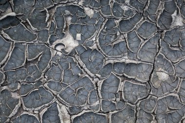 Çatlak toprak. Toprak. Çatlaklar. Kuraklık.
