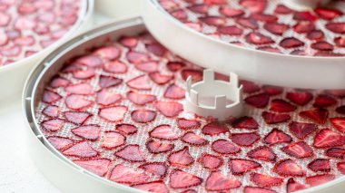 Dried strawberry slices. Dehydrator for drying fruits. stock for the winter clipart