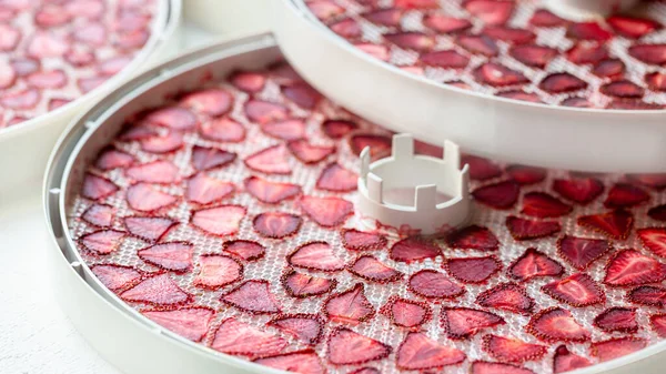 Dried Strawberry Slices Dehydrator Drying Fruits Stock Winter — Stock Photo, Image