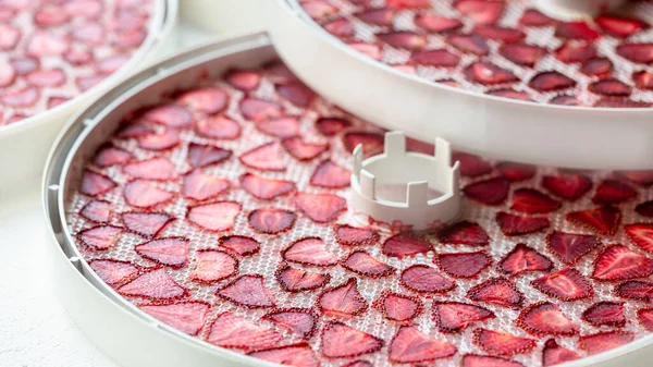 Getrocknete Erdbeerscheiben Trocknungsgerät Zum Trocknen Von Früchten Vorrat Für Den lizenzfreie Stockfotos