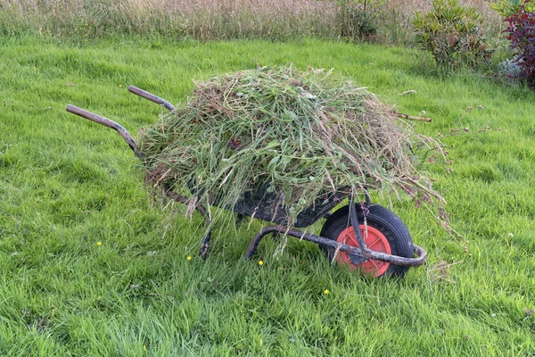 Yabani ot dolu Bahçe tekerlek barrow heaped