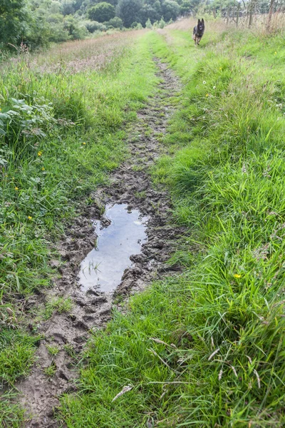 Ein altes, verschlissenes Fahrzeug mit unterschiedlicher Farbe und Grundierung. Ideales Sanierungsprojekt. — Stockfoto