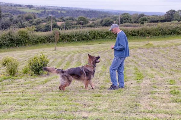 Adam köpeğiyle dışında bir oyuncak eğitim