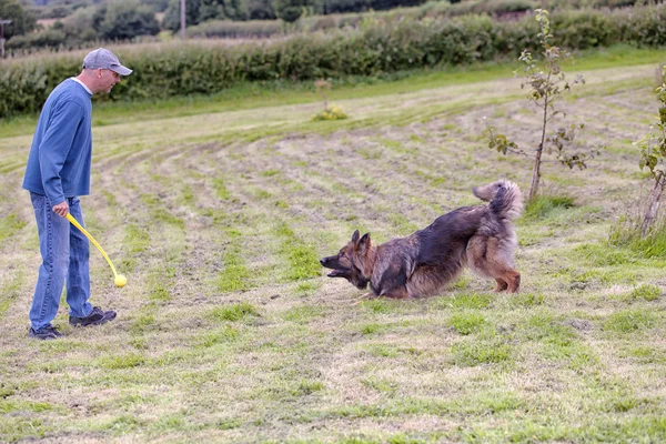 Adam köpeğiyle dışında bir oyuncak eğitim