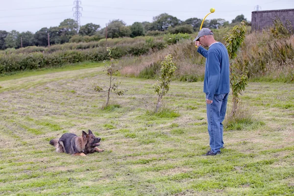 Adam köpeğiyle dışında bir oyuncak eğitim