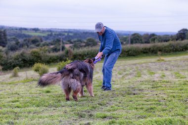 Çimde halat dışında köpeğiyle oynayan adam