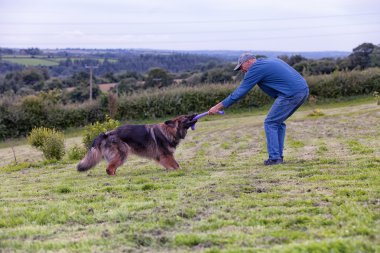 Çimde halat dışında köpeğiyle oynayan adam