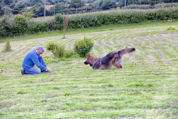 Adam köpeğiyle dışında bir oyuncak eğitim