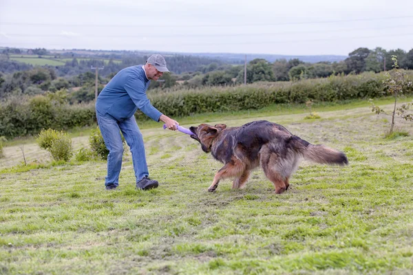 Çimde halat dışında köpeğiyle oynayan adam